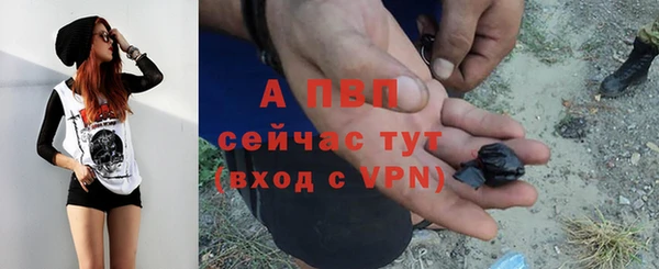 каннабис Богданович