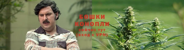 каннабис Богданович