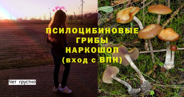 каннабис Богданович