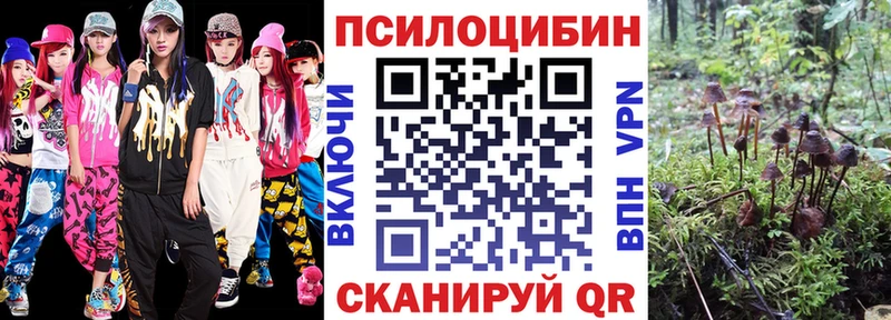 Псилоцибиновые грибы прущие грибы  Купить  Жигулёвск 